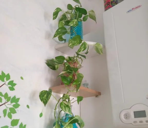 Nyaraló A Casa Di Silvy Trieszt