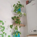 Дом отдыха A Casa Di Silvy Триест