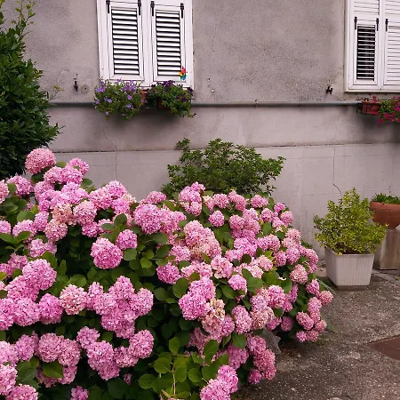 A Casa Di Silvy *