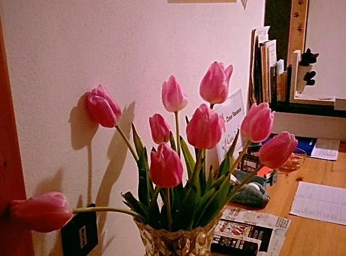 Nyaraló A Casa Di Silvy